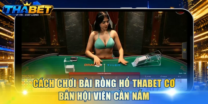 Cách chơi bài Rồng Hổ THABET cơ bản hội viên cần nắm