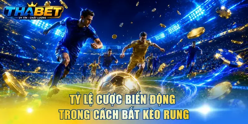 Tỷ lệ cược biến động trong cách bắt kèo rung